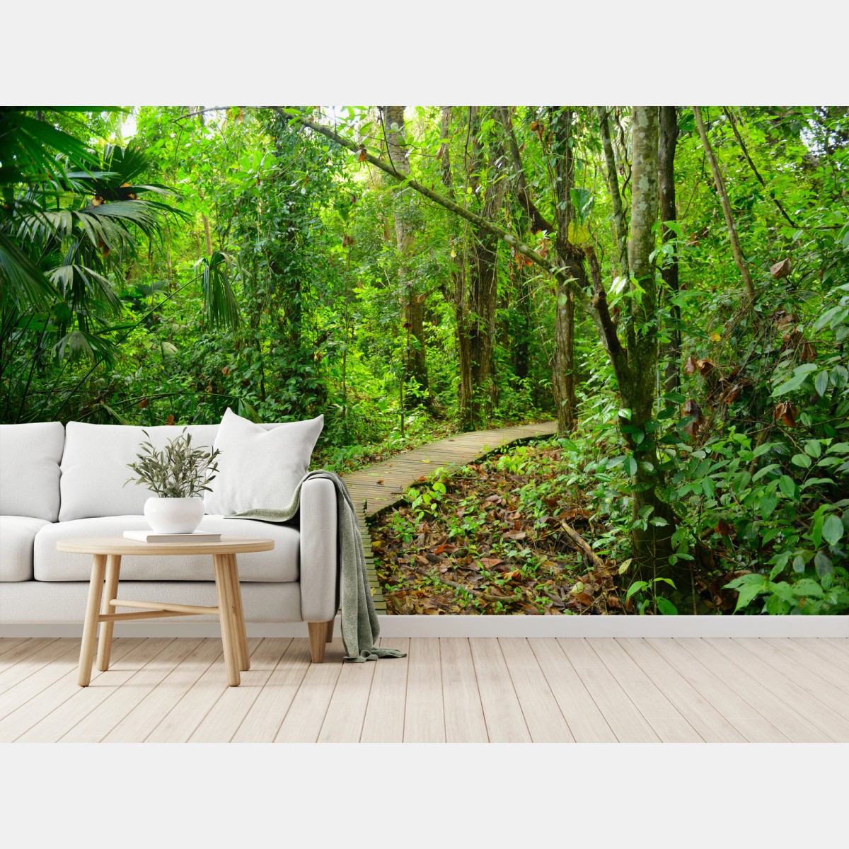 Wall mural tropical boardwalk through lush forest • Wallissimo®