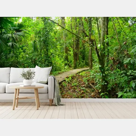 Wall mural tropical boardwalk through lush forest • Wallissimo®
