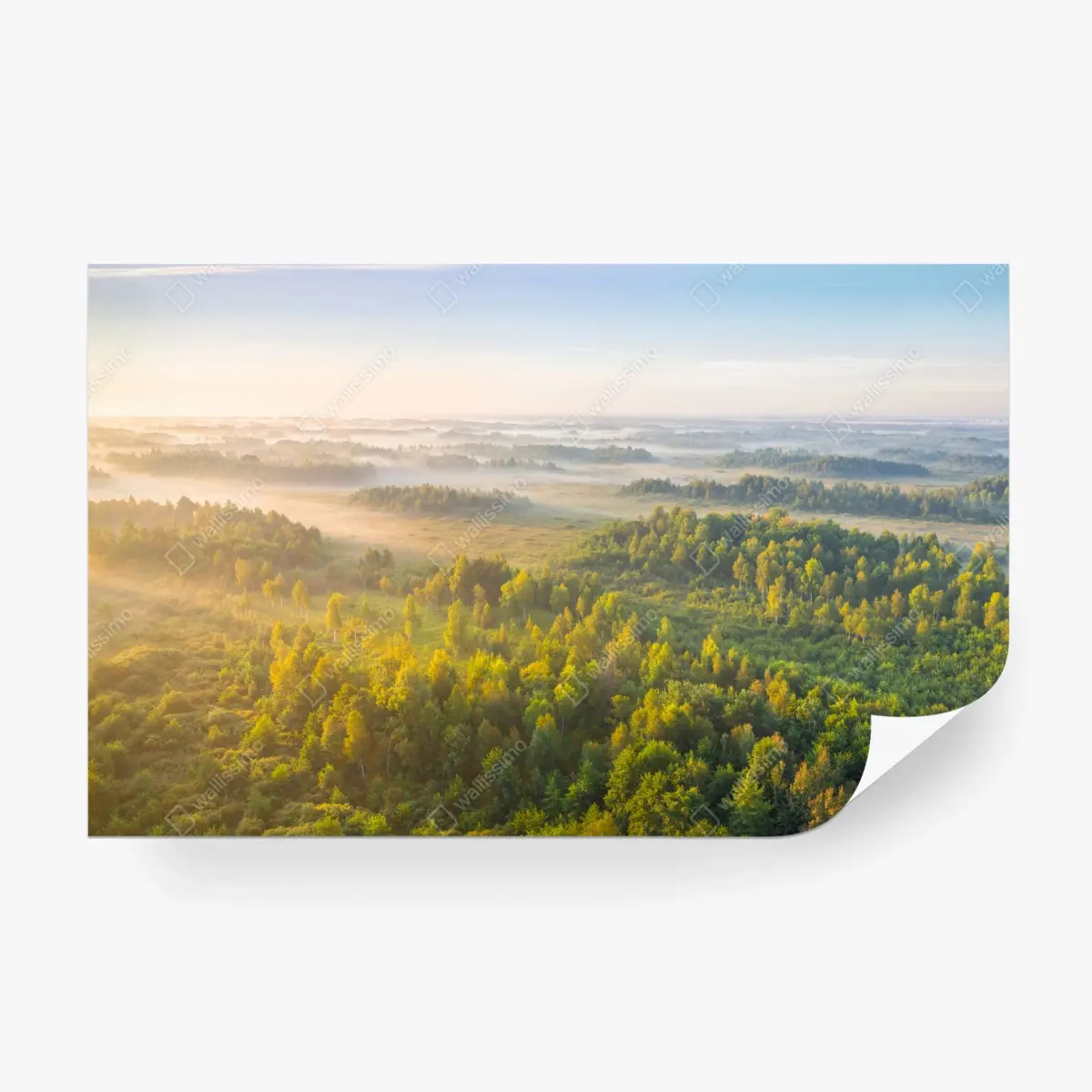 Wall mural foggy morning at Zvanets marsh ⁕ Wallissimo® Wall mural foggy morning at Zvanets marsh ⁕ Wallissimo®