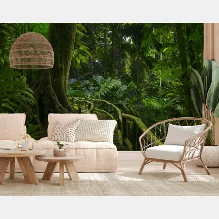 Wall mural tranquil jungle boardwalk through lush rainforest • Wallissimo®