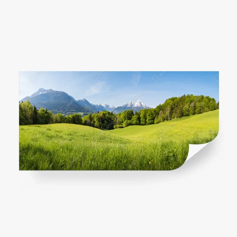 Wall mural • Wallissimo®