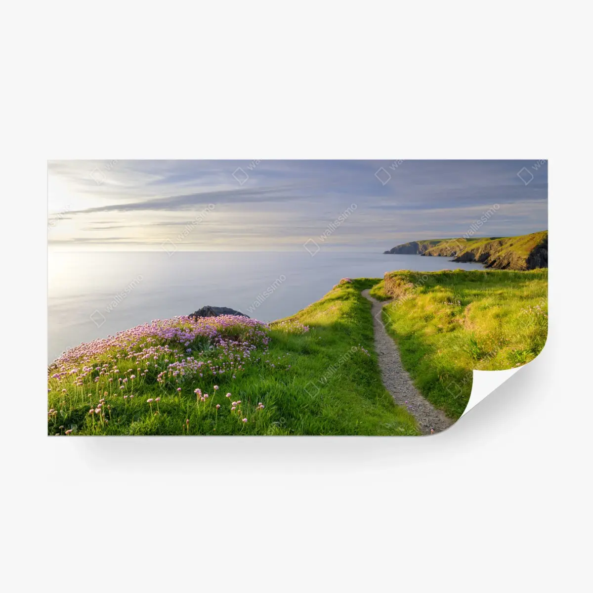 Wall mural Ceibwr Bay coastal path at dusk • Wallissimo®