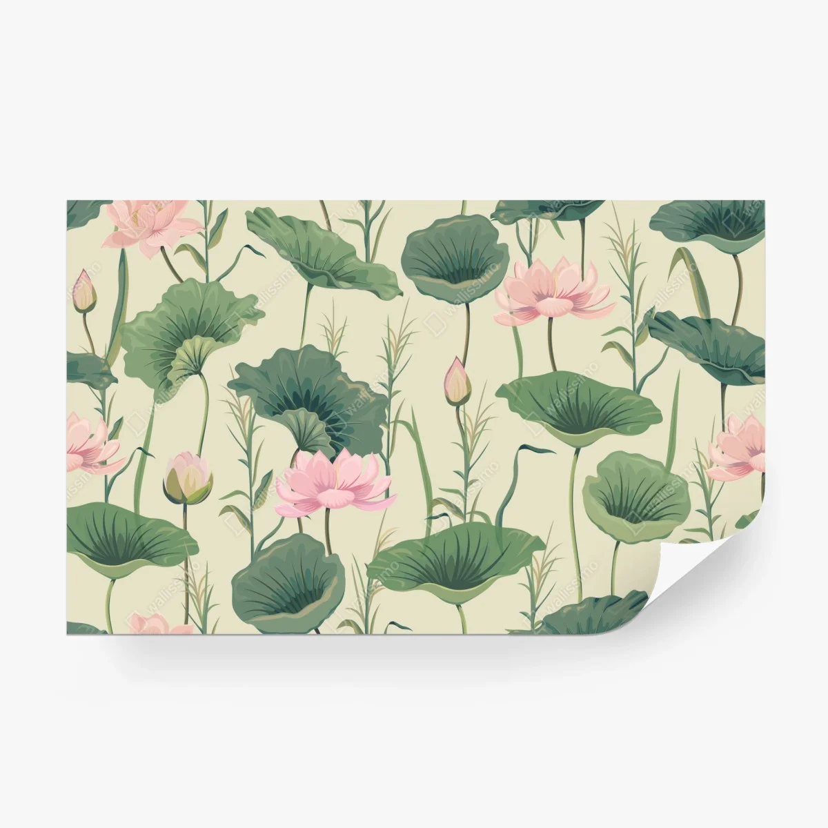 Wall mural soft lotus garden botanical print • Wallissimo® Wall mural soft lotus garden botanical print • Wallissimo®