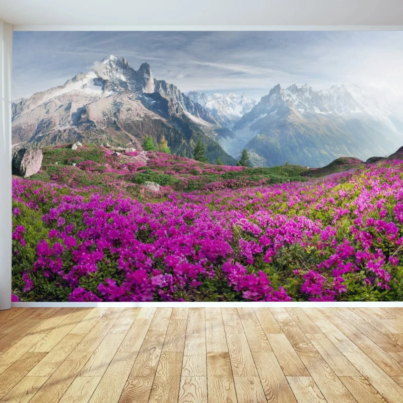 Wall mural alpine rhododendron meadow at Mont Blanc