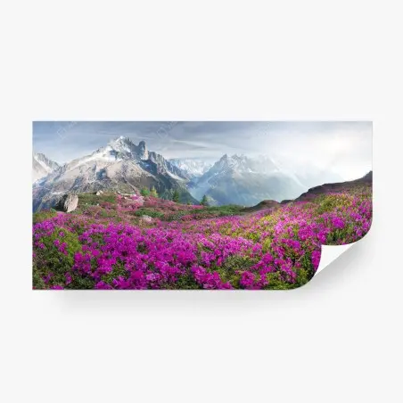 Wall mural alpine rhododendron meadow at Mont Blanc • Wallissimo®