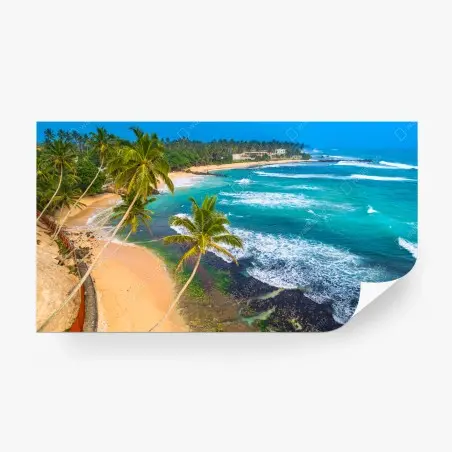 Wall mural turquoise tropical coastline with palm trees • Wallissimo®