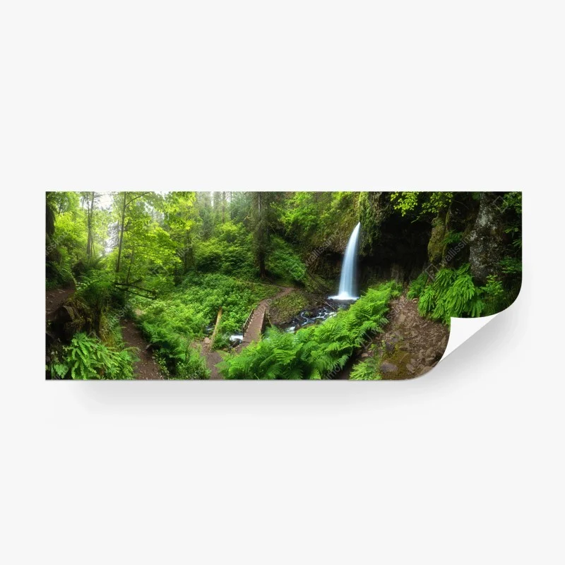 Wall mural lush forest waterfall panorama