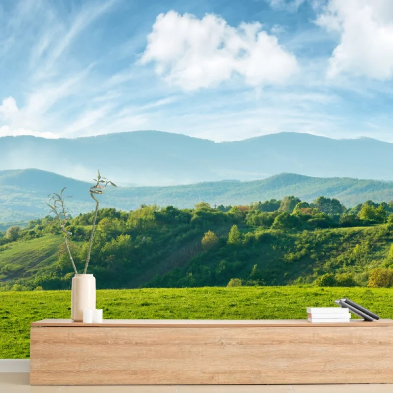 Wall mural Romania springtime mountain panorama