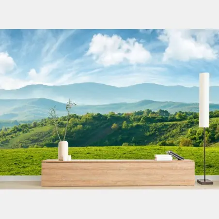 Wall mural Romania springtime mountain panorama • Wallissimo®