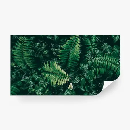 Wall mural lush tropical green leaves • Wallissimo®