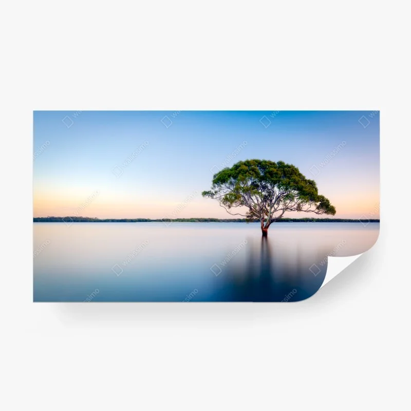 Wall mural solitary tree over a tranquil lake