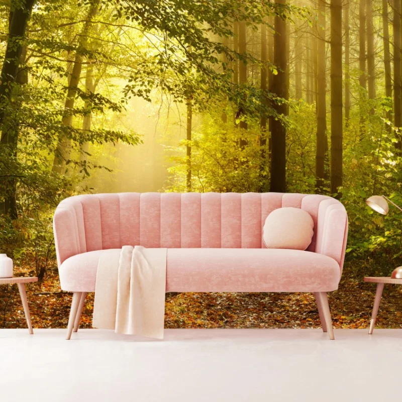 Wall mural sunlit forest path in autumn