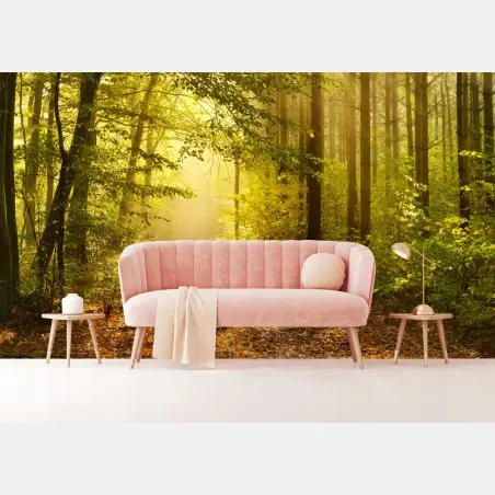 Wall mural sunlit forest path in autumn • Wallissimo®