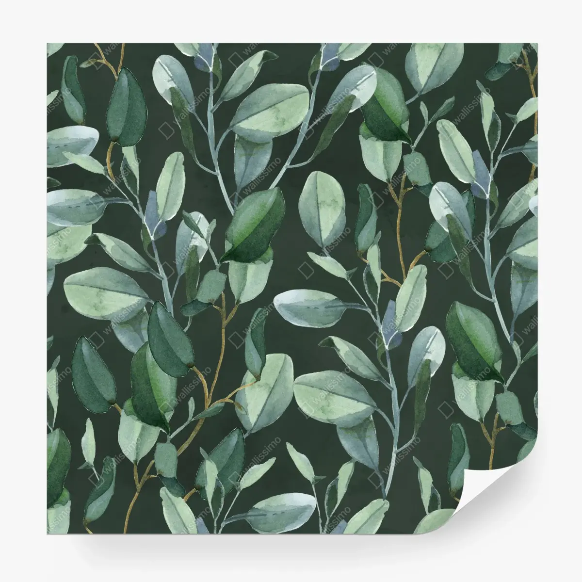 Wall mural eucalyptus leaves watercolor pattern on dark green • Wallissimo®
