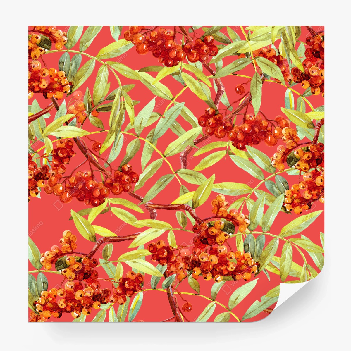 Wall mural watercolor rowan berries pattern • Wallissimo®