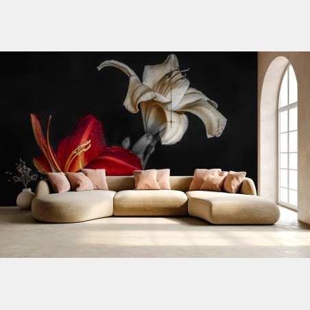 Wall mural dramatic red and ivory lilies on black background • Wallissimo®
