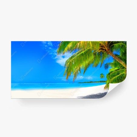 Wall mural tropical turquoise beach paradise • Wallissimo®