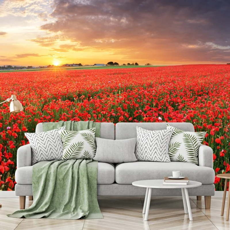 Wall mural sunset poppy field panorama