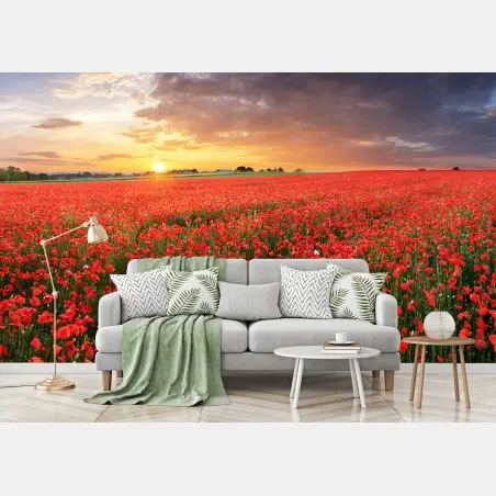 Wall mural sunset poppy field panorama • Wallissimo®