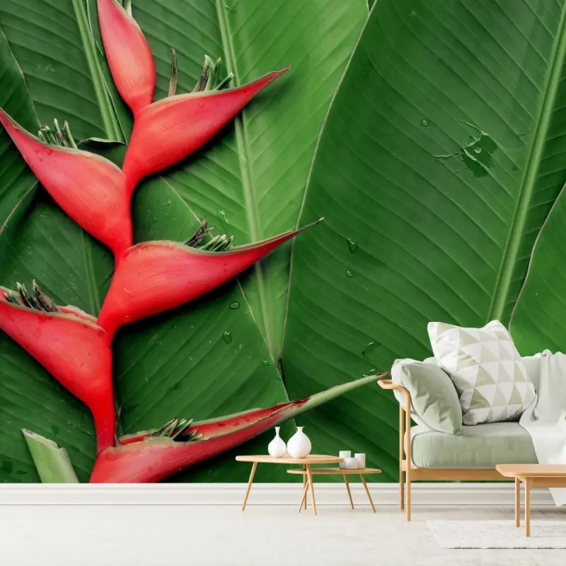 Wall mural vibrant heliconia on tropical leaves