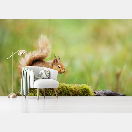 Wall mural curious red squirrel on mossy log • Wallissimo®