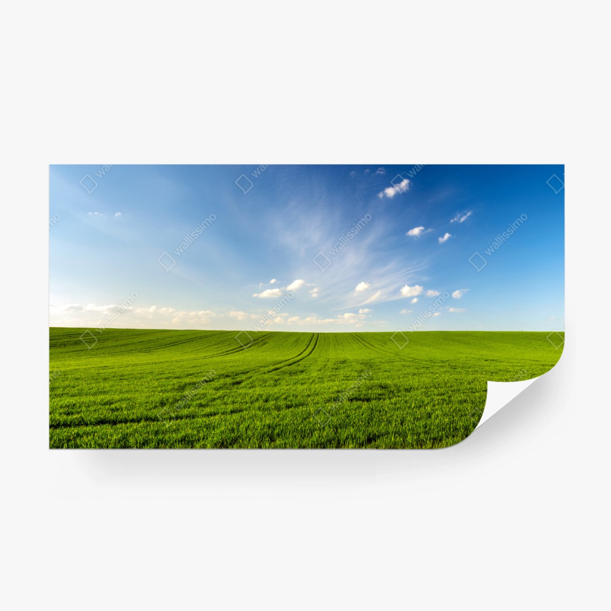 Wall mural spring green meadow panorama • Wallissimo®