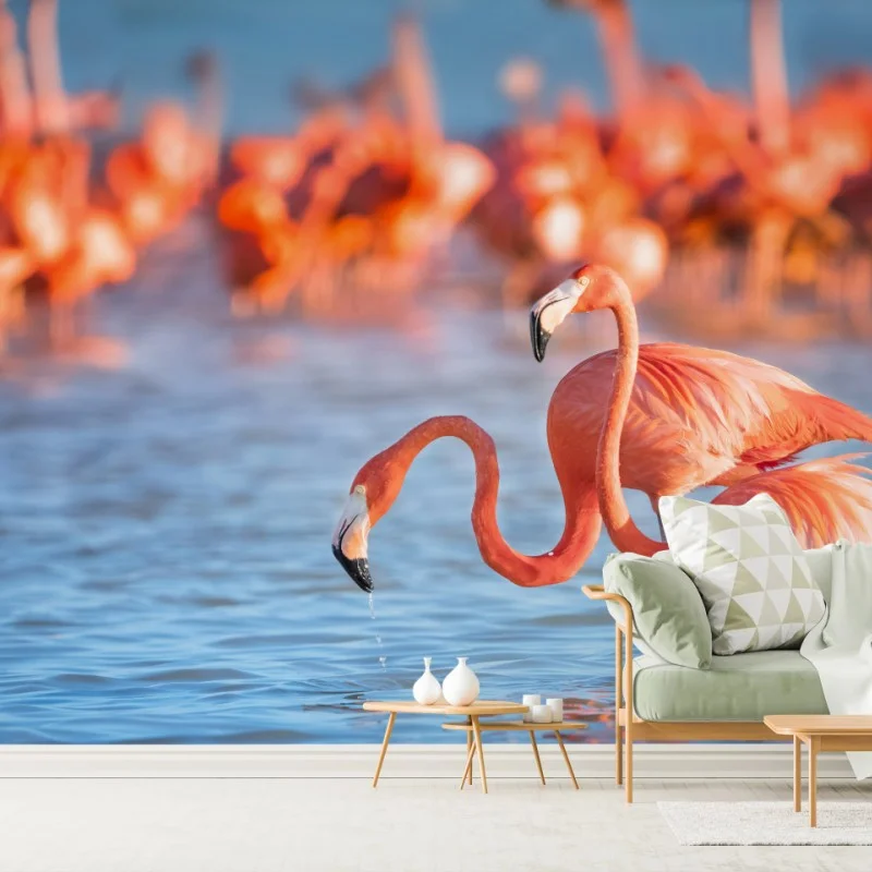 Wall mural graceful flamingos in shallow water