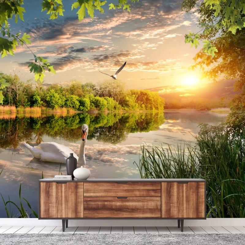 Wall mural sunset swan on tranquil lake