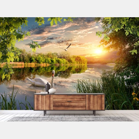 Wall mural sunset swan on tranquil lake • Wallissimo®