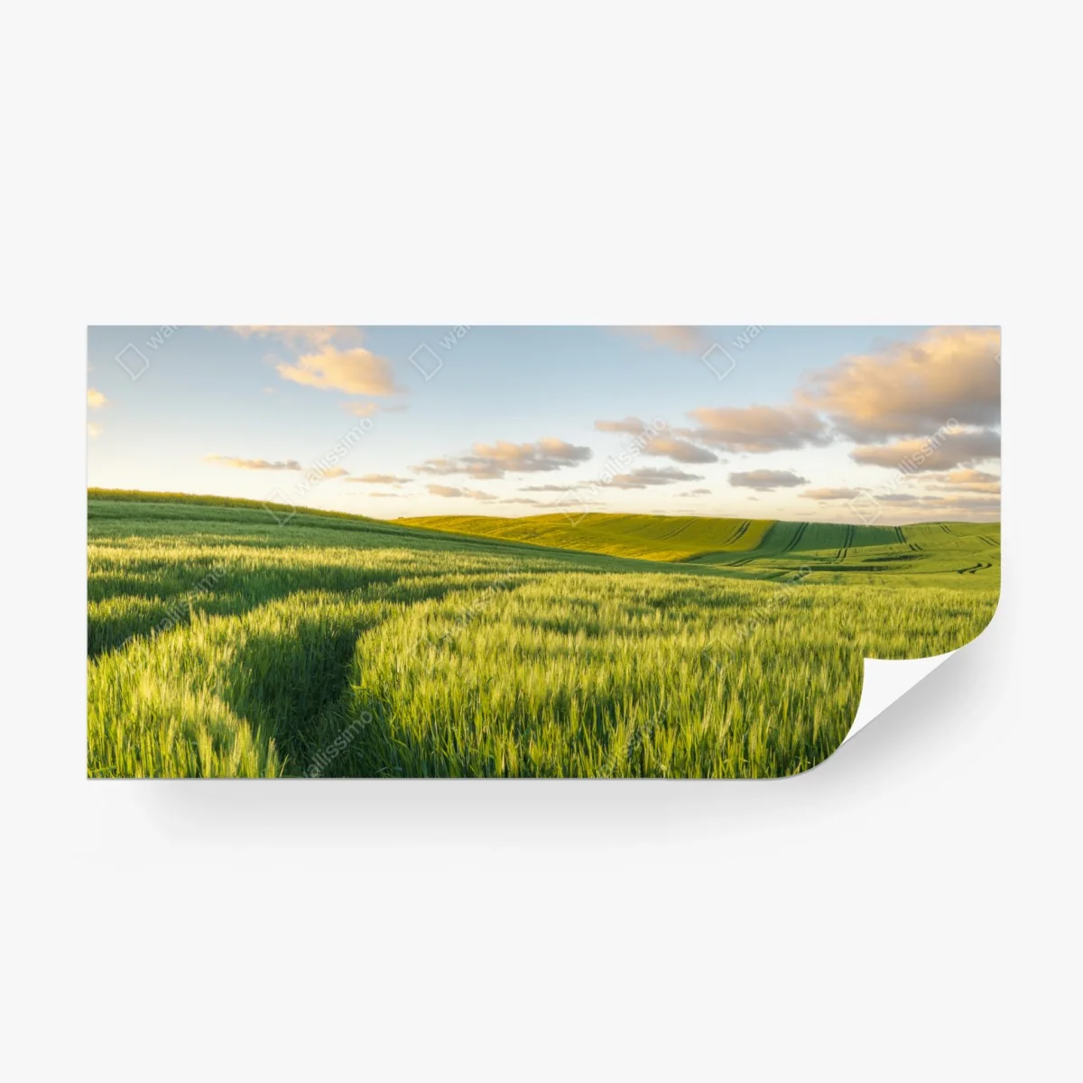 Wall mural serene green meadow panorama • Wallissimo® Wall mural serene green meadow panorama • Wallissimo®