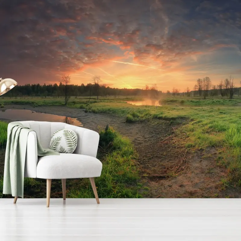 Wall mural sunset over a peaceful meadow
