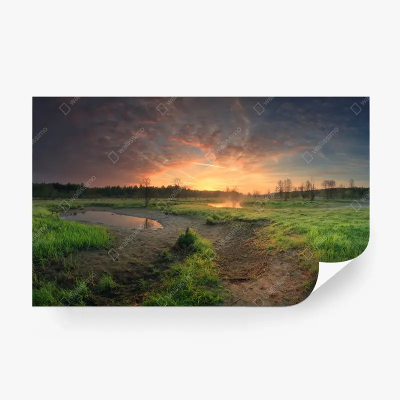 Wall mural sunset over a peaceful meadow