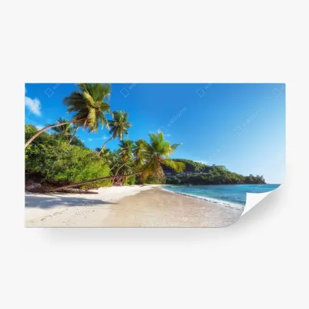 Wall mural tropical palm beach paradise • Wallissimo®