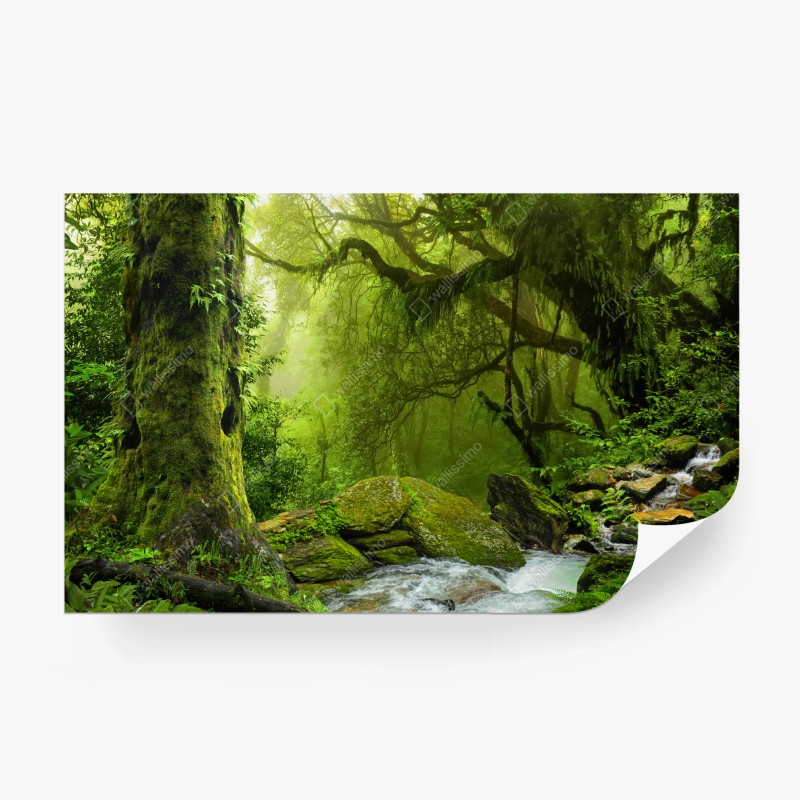 Wall mural enchanted green forest stream