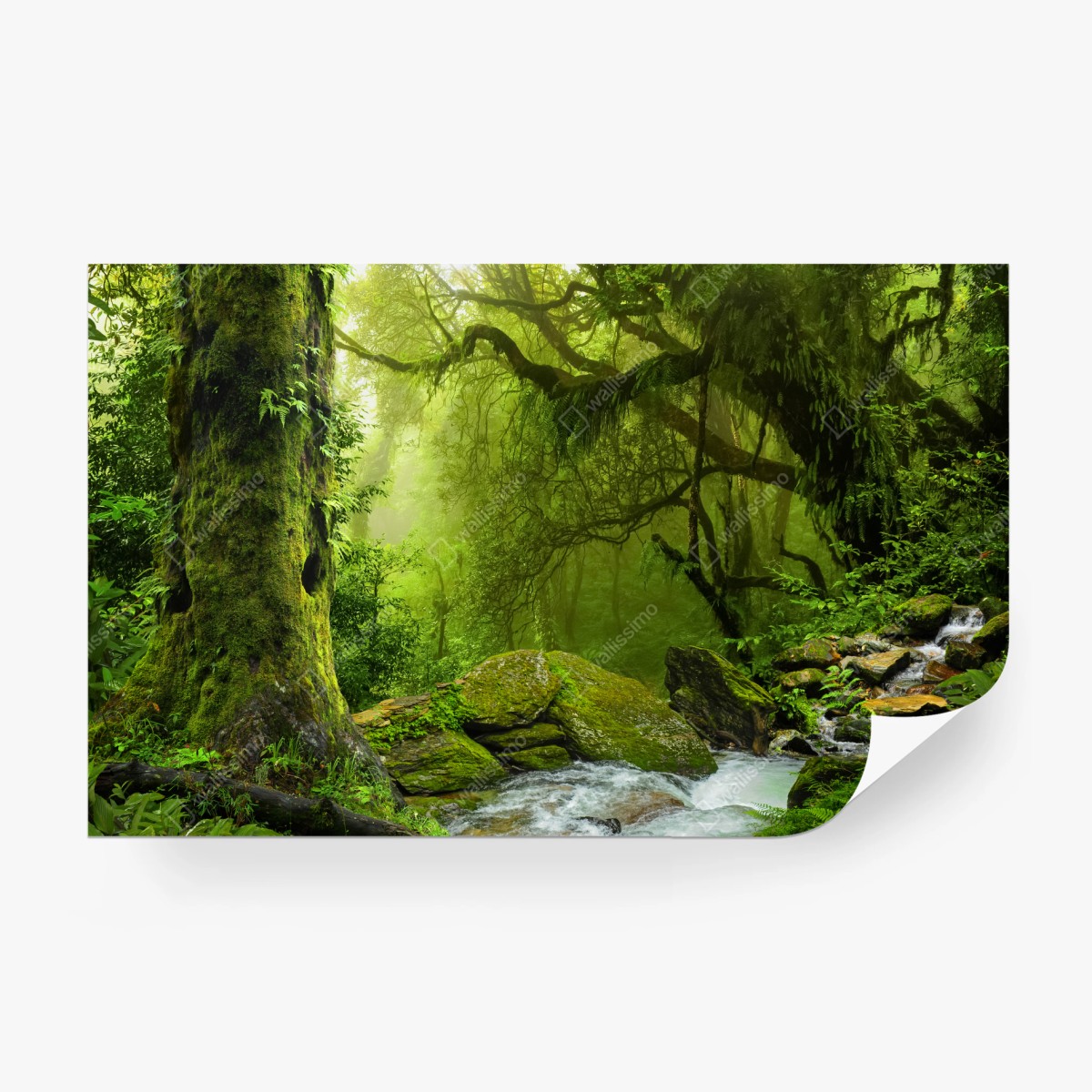 Wall mural enchanted green forest stream • Wallissimo®