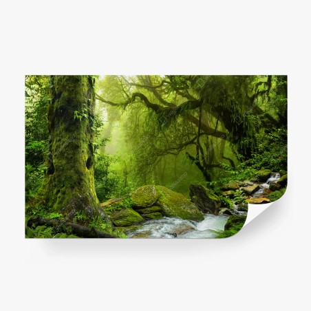 Wall mural enchanted green forest stream • Wallissimo®