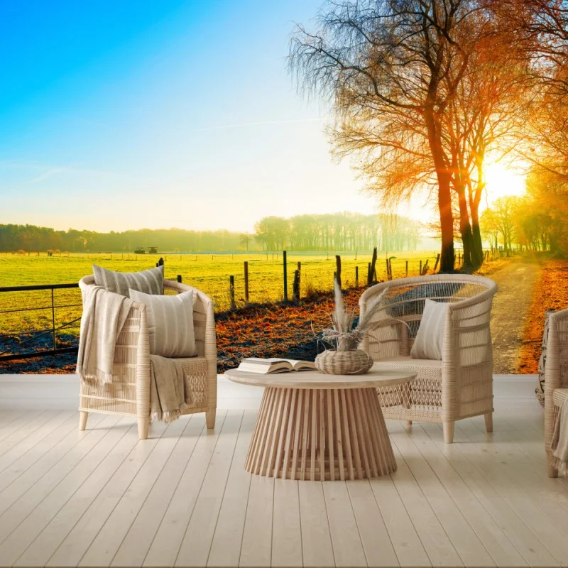 Wall mural sunlit country road through autumn meadow