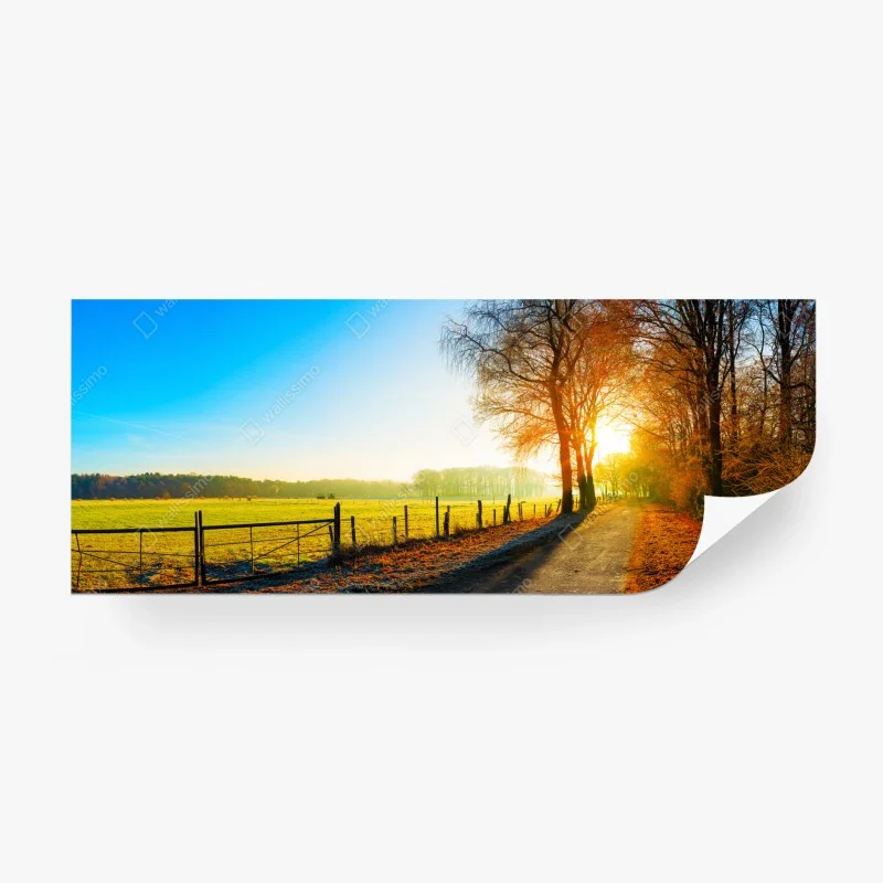 Wall mural sunlit country road through autumn meadow