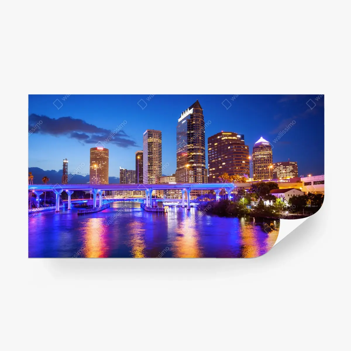 Wall mural Tampa skyline at night • Wallissimo®