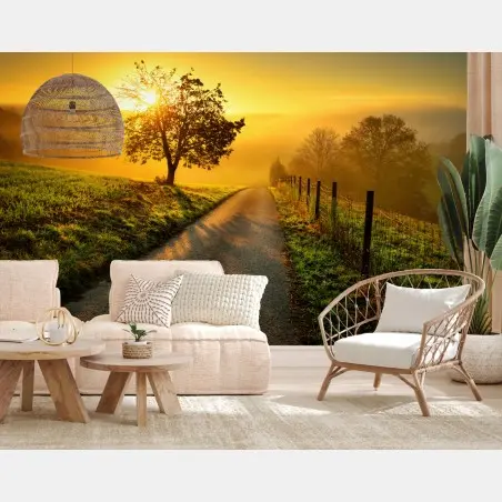 Wall mural sunlit countryside path at sunrise • Wallissimo®