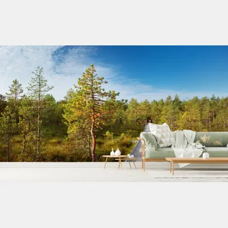 Wall mural sunny pine forest boardwalk • Wallissimo®