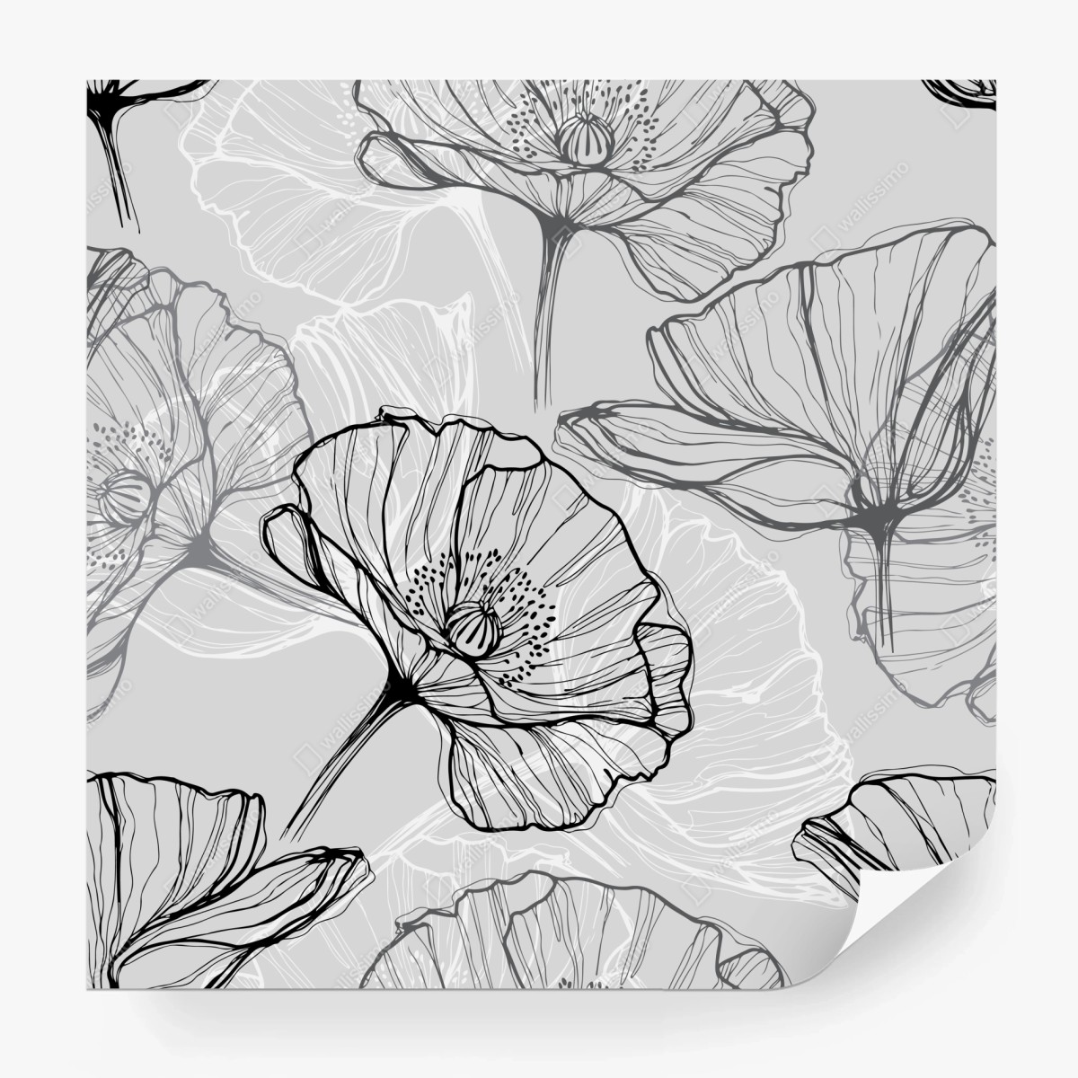 Wall mural delicate gray poppy line art • Wallissimo®