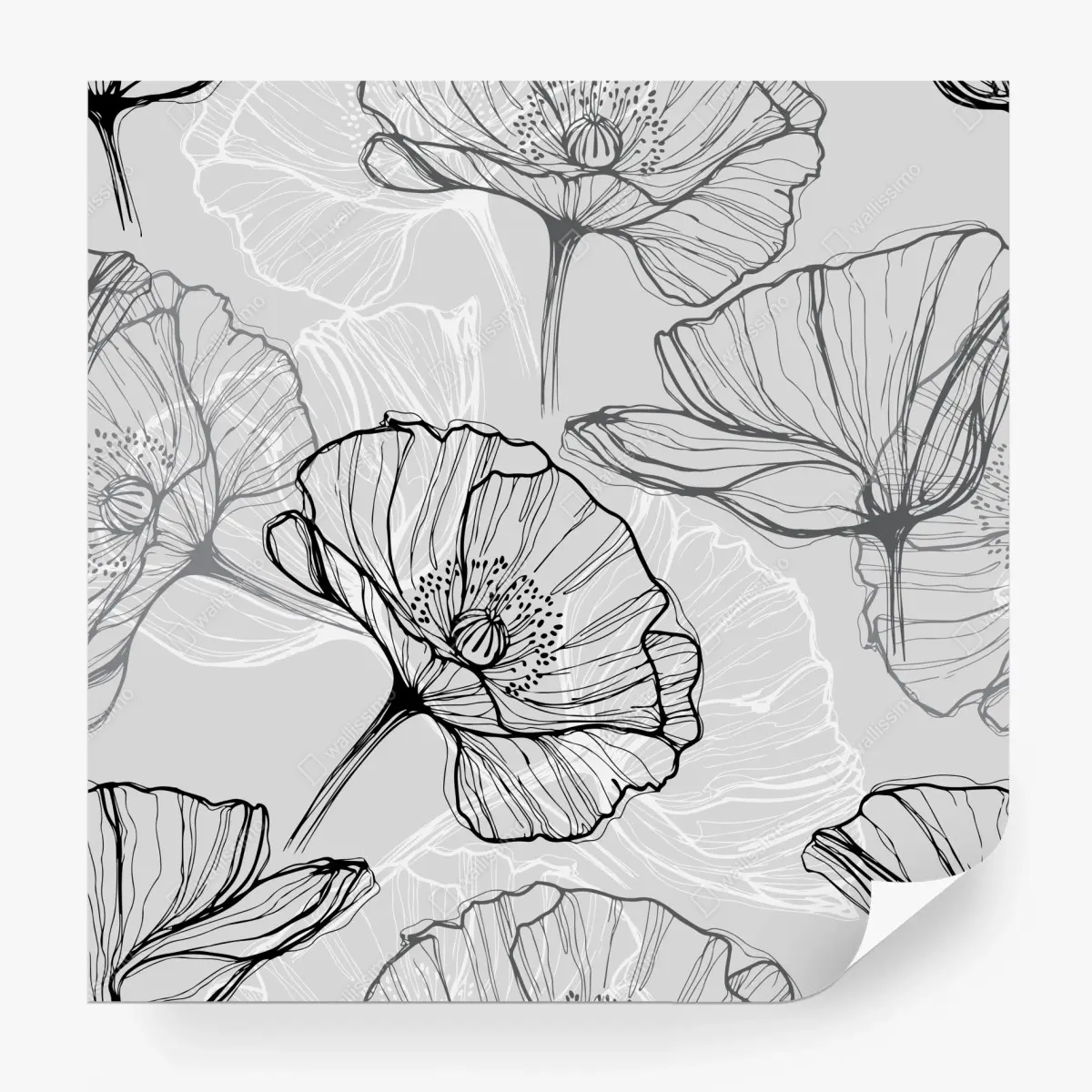Wall mural delicate gray poppy line art • Wallissimo®