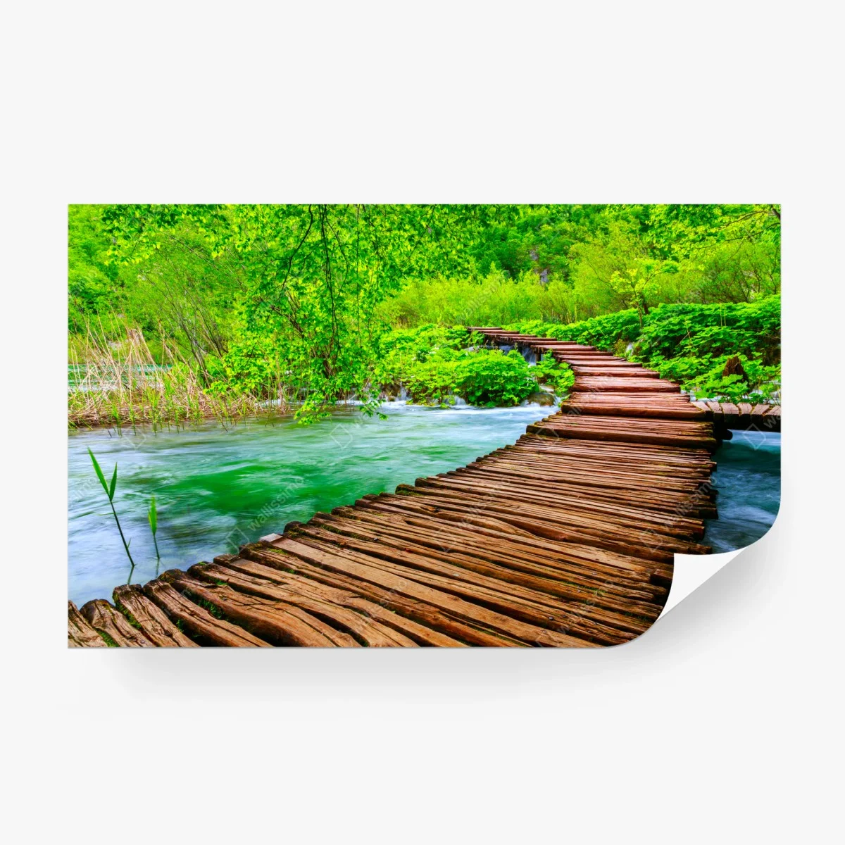 Wall mural serene green boardwalk over river • Wallissimo® Wall mural serene green boardwalk over river • Wallissimo®