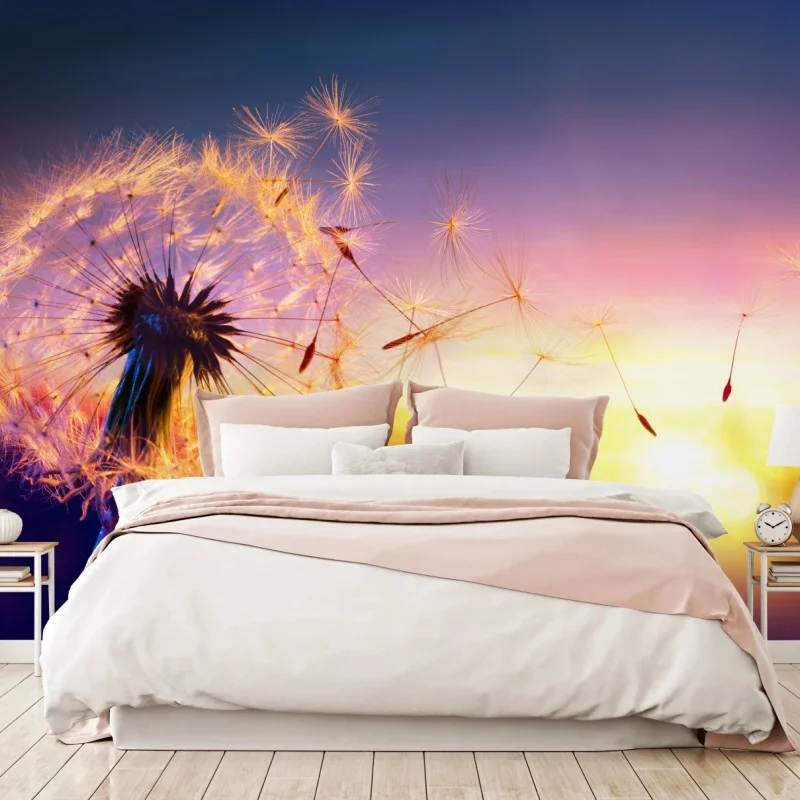 Wall mural golden dandelion at sunset