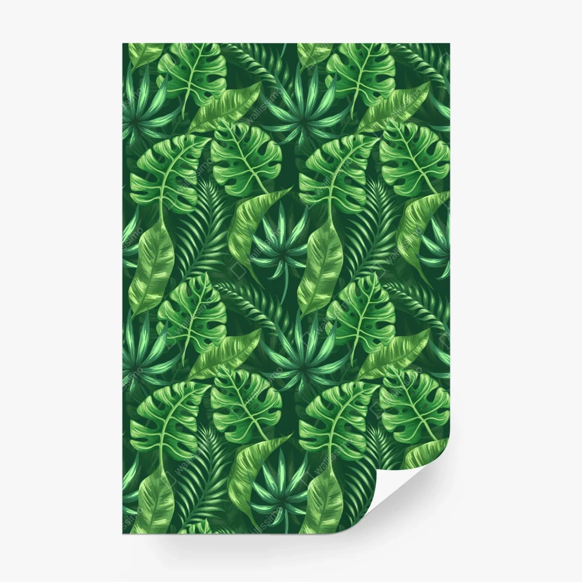 Wall mural tropical monstera leaf pattern • Wallissimo®
