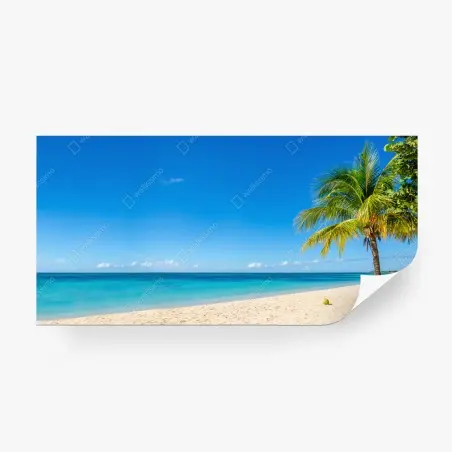 Wall mural tropical turquoise beach with palm tree • Wallissimo®