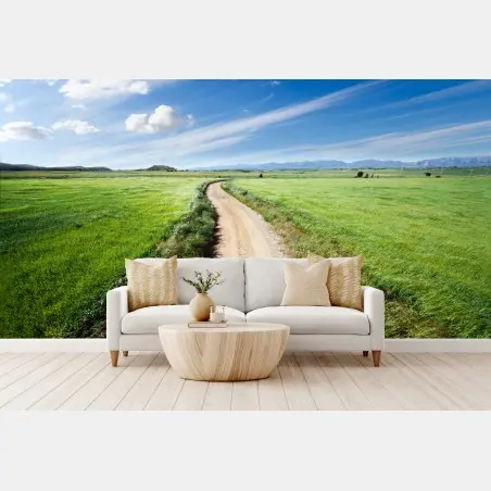 Wall mural winding country road through green meadows • Wallissimo®