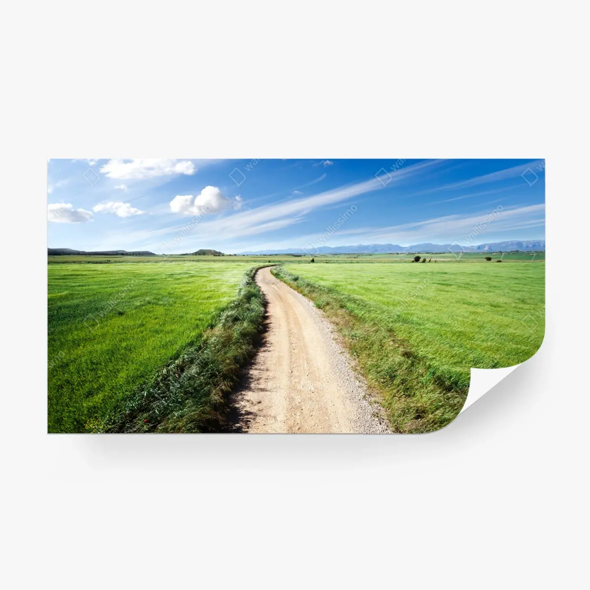Wall mural winding country road through green meadows • Wallissimo®
