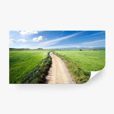 Wall mural winding country road through green meadows • Wallissimo®